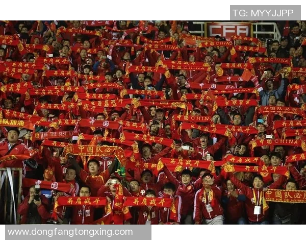 足球明星在中国赛场上遭遇语言障碍无法理解球迷热情的表达与支持