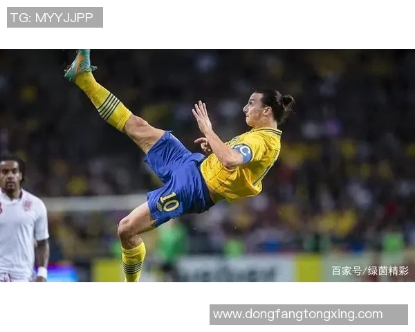 盛世容颜足球明星全景盘点与魅力解析之名单汇总