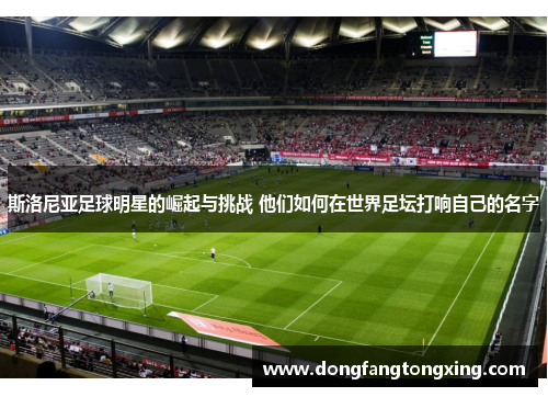 斯洛尼亚足球明星的崛起与挑战 他们如何在世界足坛打响自己的名字