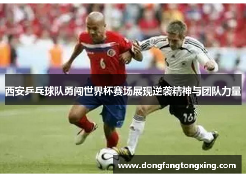 西安乒乓球队勇闯世界杯赛场展现逆袭精神与团队力量