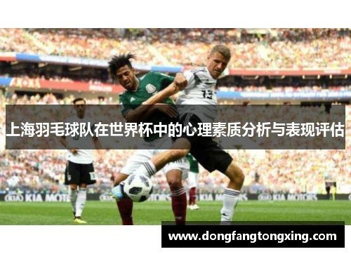 上海羽毛球队在世界杯中的心理素质分析与表现评估