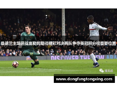 桑德兰主场迎战富勒姆期待精彩对决两队争夺英冠积分榜重要位置