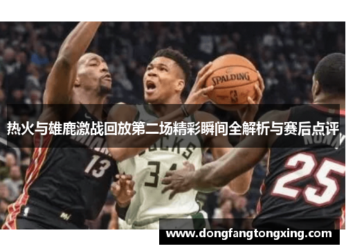 热火与雄鹿激战回放第二场精彩瞬间全解析与赛后点评